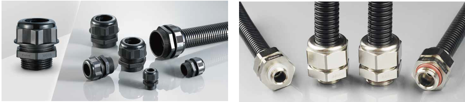 1717587048168110.png image.png